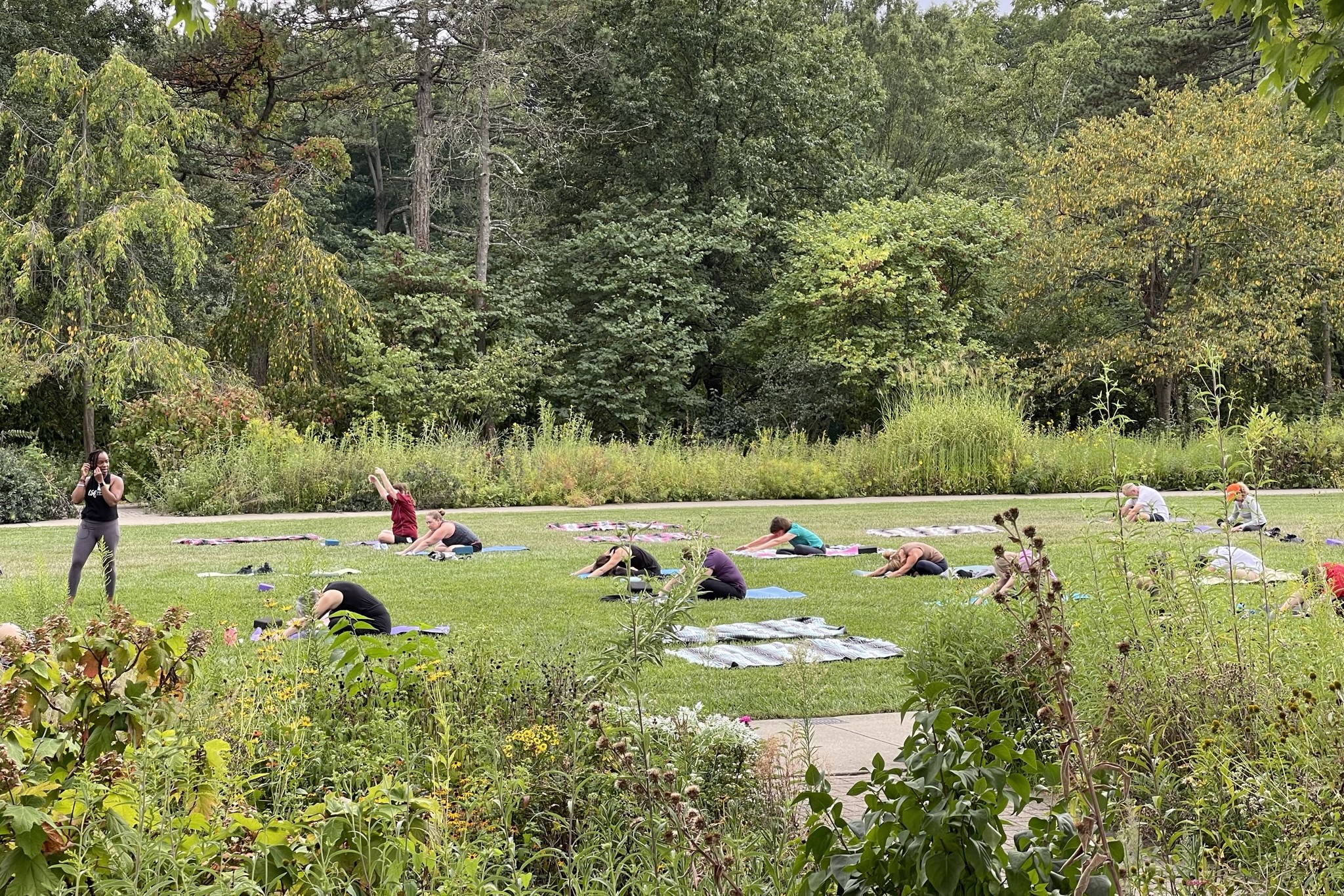 Ault Park Yoga group of people practicing yoga in ault park