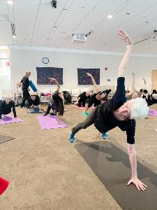 20221103_205603687_iOS group of people on yoga mats planking