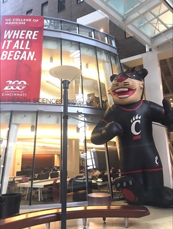 CARE Crawley Bearcat Image of the CARE Crawley Bearcat