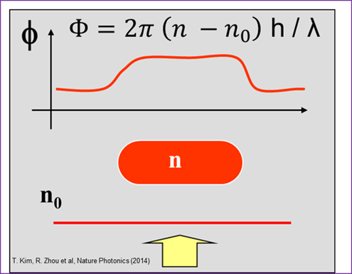 SLIM_Calc SLIM_Calc